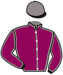 Casaque n°12