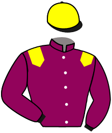 Casaque n°2