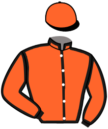 Casaque n°12