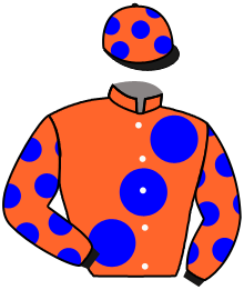Casaque n°8