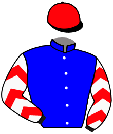 Casaque n°16