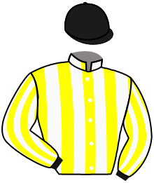 Casaque n°8
