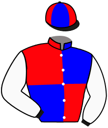 Casaque n°1
