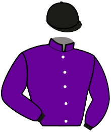 Casaque n°13