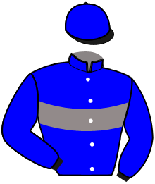 Casaque n°11