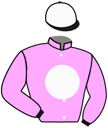 Casaque n°2