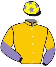 Casaque n°2