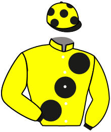 Casaque n°10
