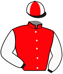 Casaque n°11