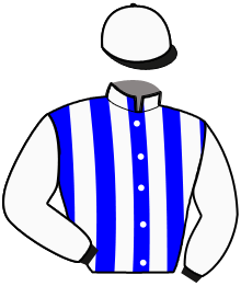 Casaque n°8