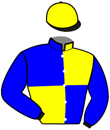 Casaque n°3