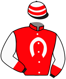 Casaque n°3