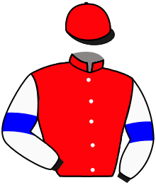 Casaque n°8
