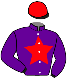 Casaque n°15