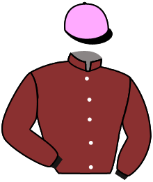 Casaque n°2