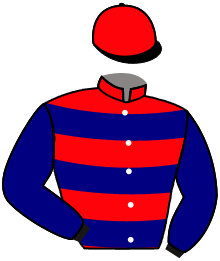 Casaque n°6