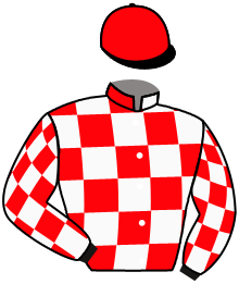 Casaque n°1