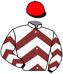 Casaque n°4