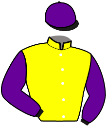 Casaque n°10