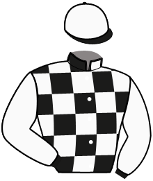Casaque n°14