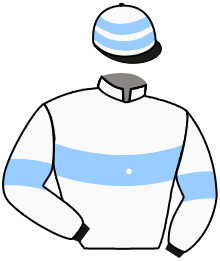 Casaque n°11