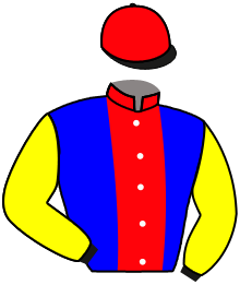 Casaque n°10