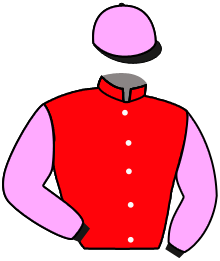Casaque n°2