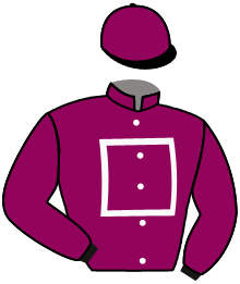 Casaque n°2