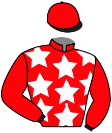 Casaque n°3