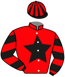 Casaque n°2
