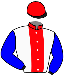 Casaque n°6