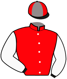 Casaque n°10