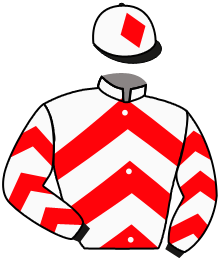 Casaque n°11