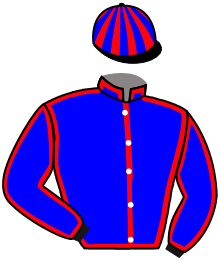 Casaque n°4
