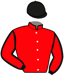 Casaque n°15