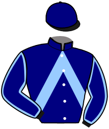 Casaque n°8
