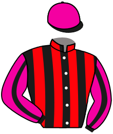Casaque n°8