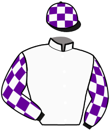 Casaque n°11