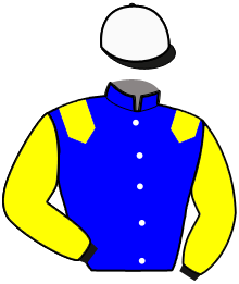Casaque n°6