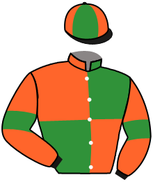Casaque n°2