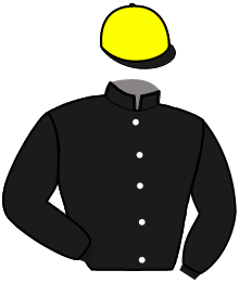 Casaque n°3