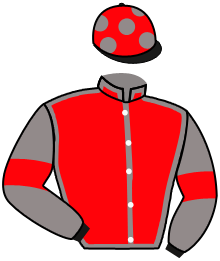 Casaque n°2