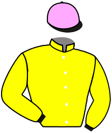 Casaque n°3