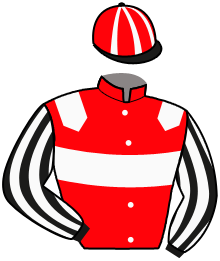 Casaque n°6