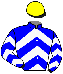 Casaque n°13