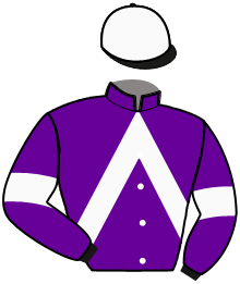 Casaque n°8