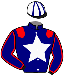 Casaque n°11