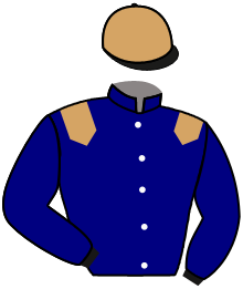 Casaque n°10