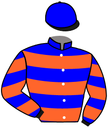 Casaque n°13