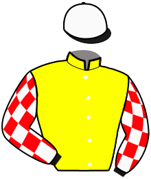 Casaque n°11